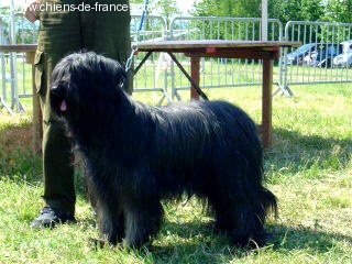 Urphee Du lur'yanou
